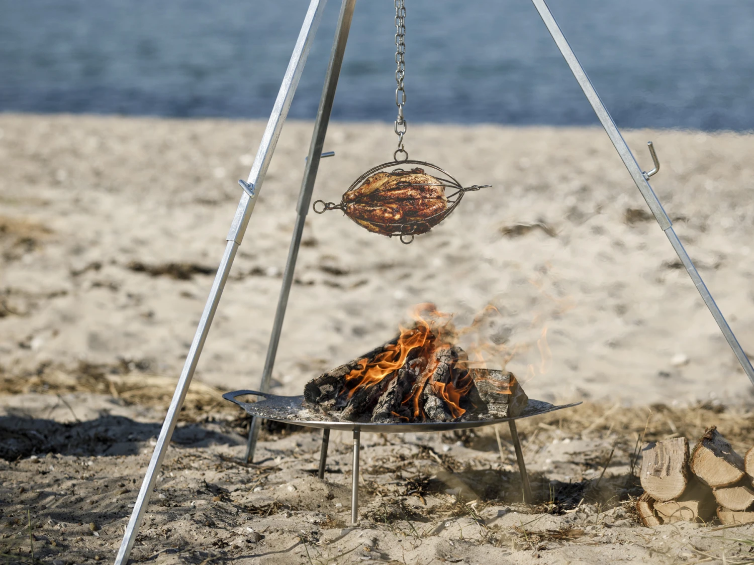 Petromax Grillmand Gevogelte 8 Petromax Grillmand Gevogelte - Image 6